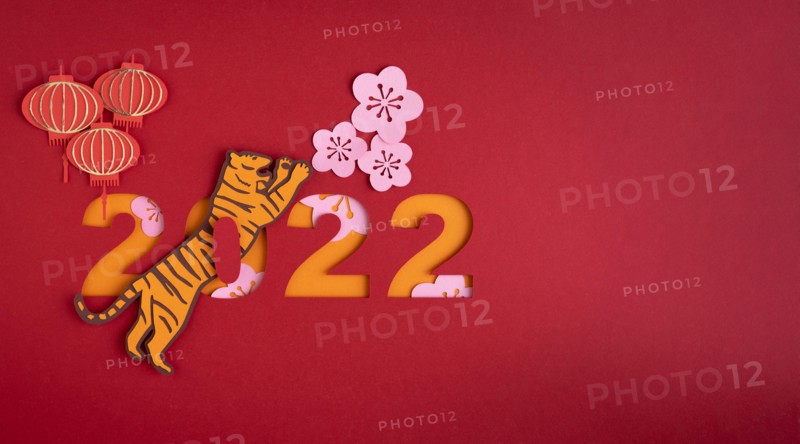 Chinese New Year. Decoration with traditional Chinese New Year motifs, cut out paper decorations on red cardboard background. Copy space.