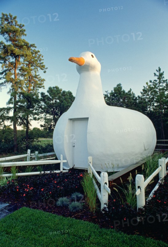 The Big Duck