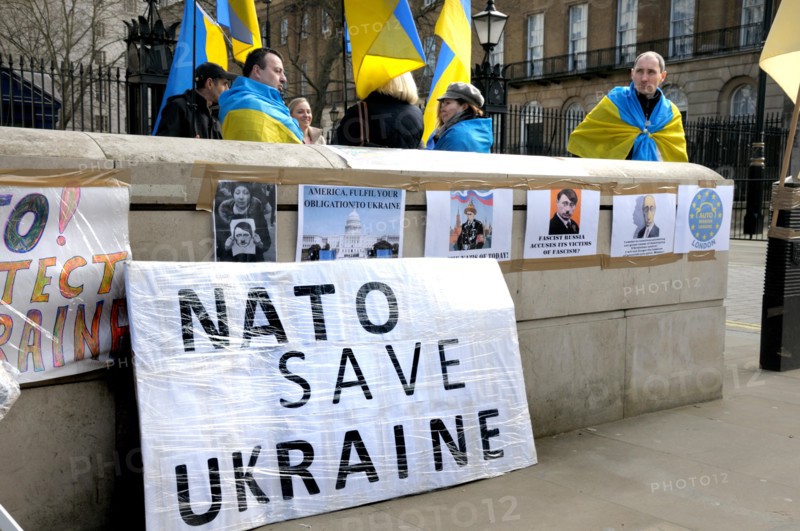 Pro-Ukrainian demonstrators in Whitehall opposite Downing Street, protesting against Russia's involvement in Crimea. 4th March 2014