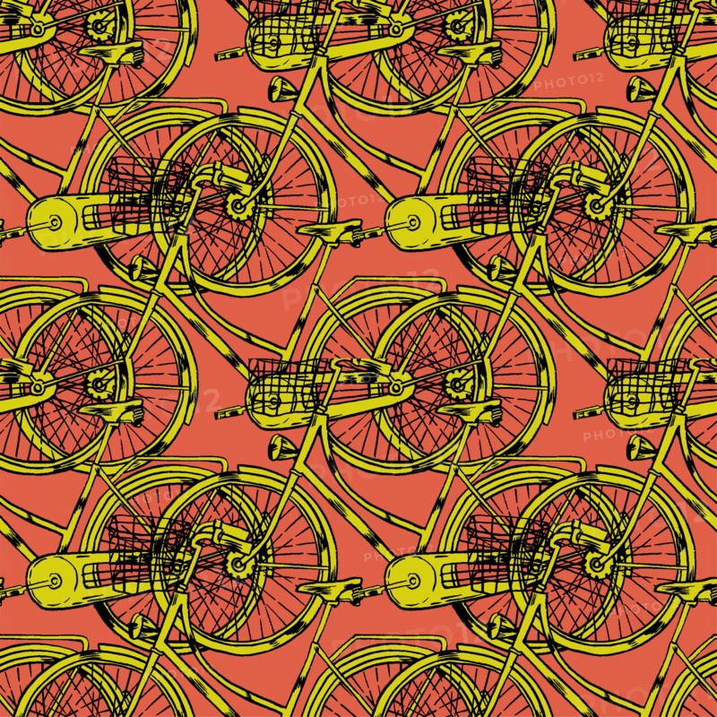 Bicycle with Cart