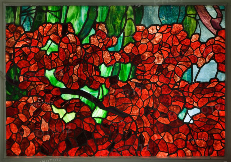 Art Nouveau stained glass window entitled 'Wienerwald' ('Vienna Woods') by Austrian artist Adolf Michael Boehm (Adolf Böhm) in the former Wagner Villa I in Vienna, Austria. The villa designed by Austrian modernist architect Otto Wagner and built in 1886-1888 in Hütteldorf district. The building was acquired and rebuilt by Austrian artist Ernst Fuchs in the 1970s and is now housing the Ernst Fuchs Museum.