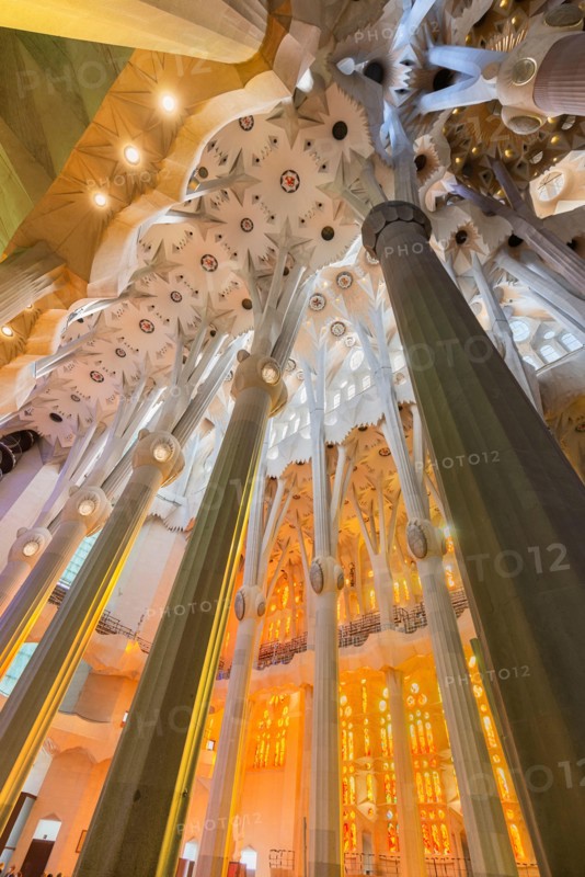 The interior of Sagrada Familia, the cathedral designed by Gaudi in Barcelona, Catalonia