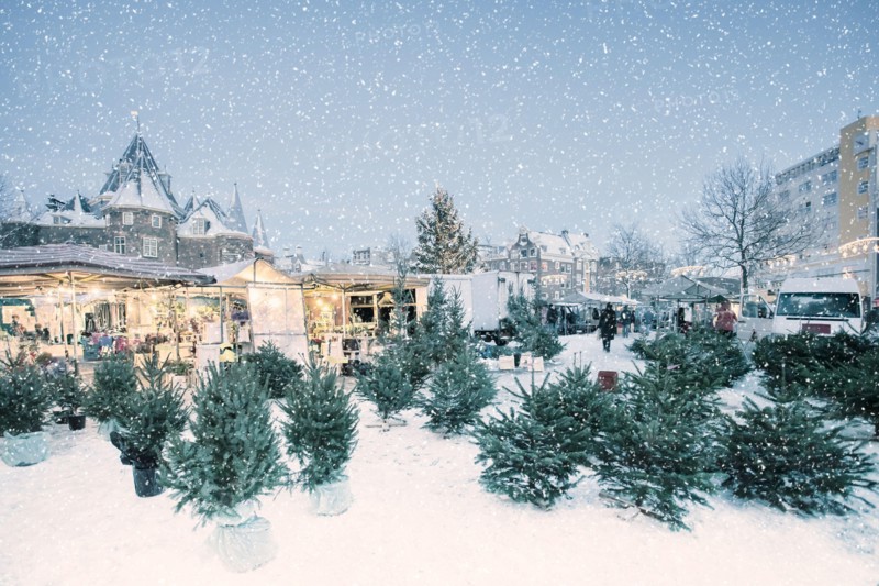 Winter view with market stalls selling christmas trees on the Nieuwmarkt square during snowfall in Amsterdam, The Netherlands