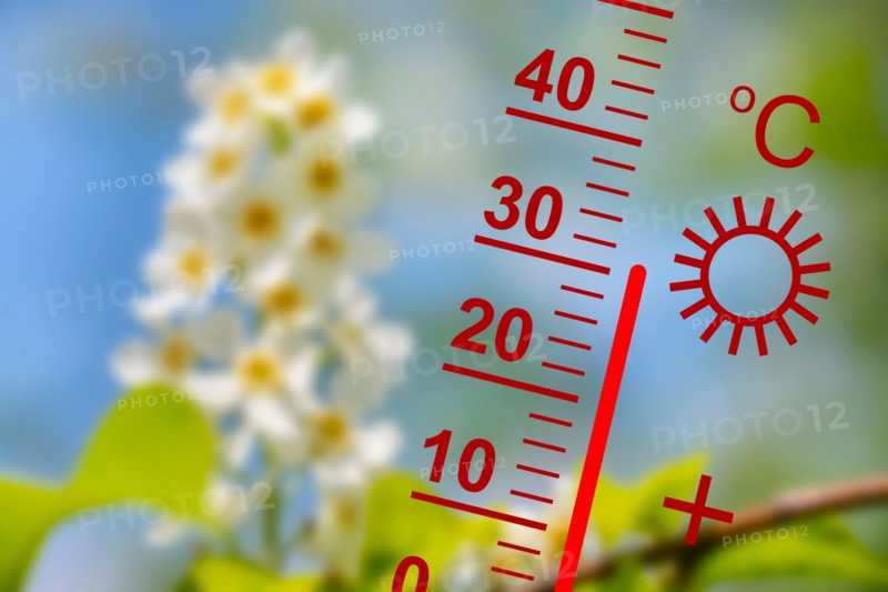 heat in summer with high temperature at thermometer