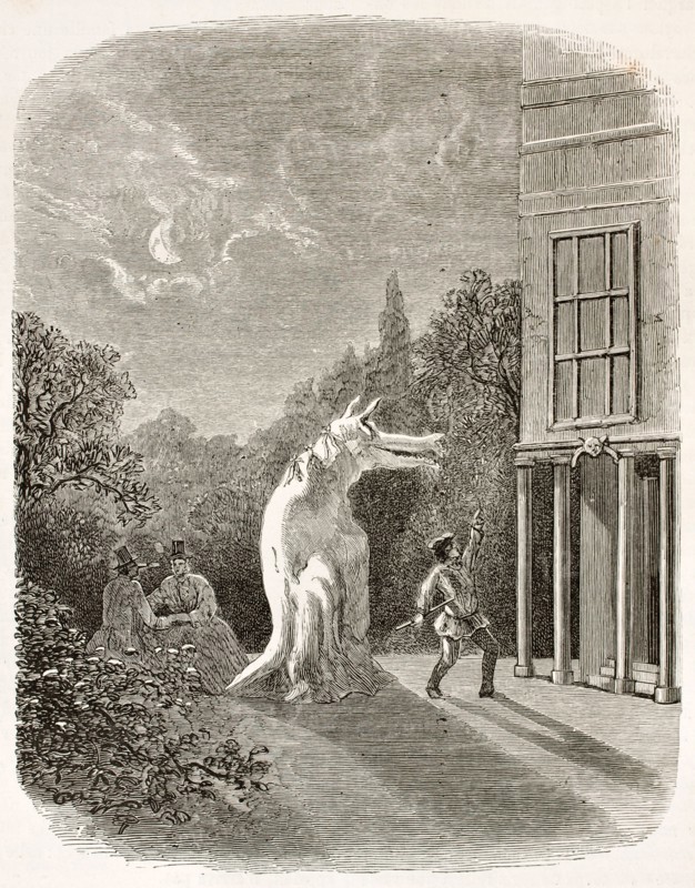 Mari Lwyd