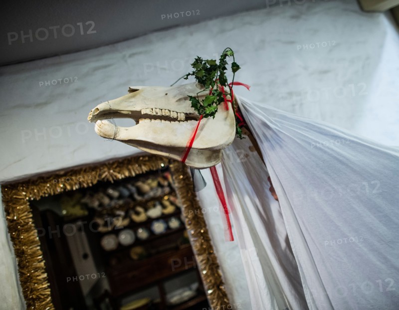 A traditional welsh 'Mari Lwyd' decorated horses skull being paraded at xmas or new year