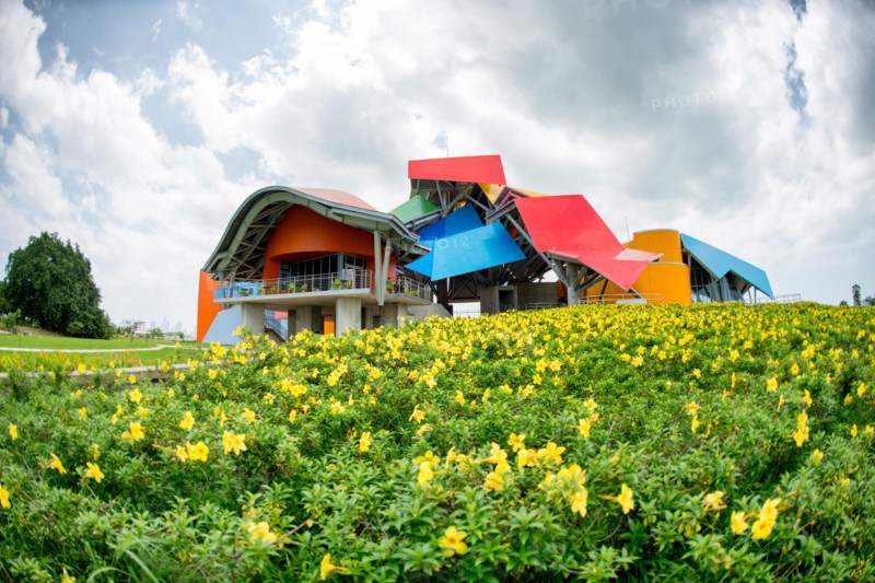 PANAMA CITY, Panama--Opened to visitors in October 2014 and housed in a distinctive building designed by famous architect Frank Gehry, the Biomuseo focused on the biodiversity of Panama and the special role the Panamanian isthmus has played as a land bridge between North and South America. It is located on Panama City's Causeway, with views out over the Pacific on one side and the entrance ot the Panama Canal on the other.