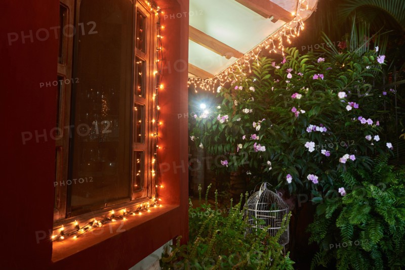 Light on house in christmas time in tropics at night