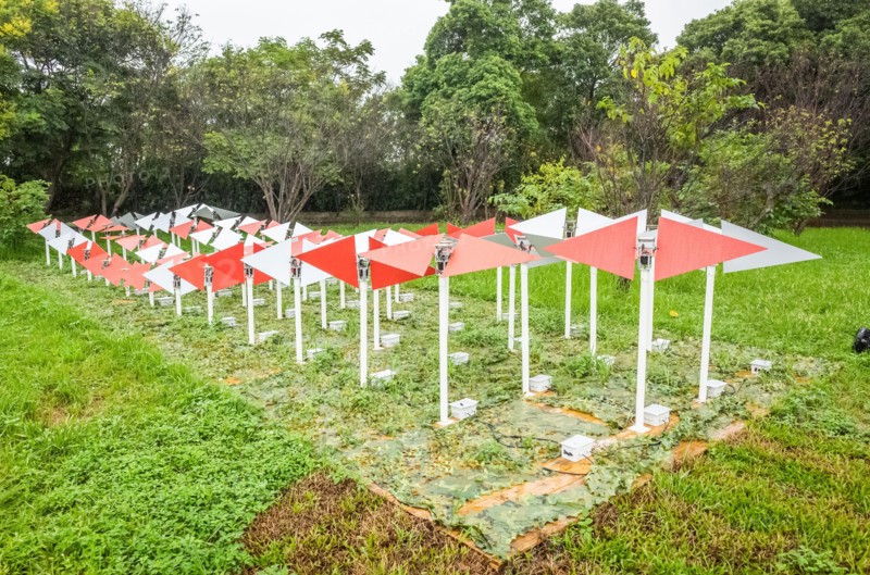 Taoyuan Land Art Festival in the raining day