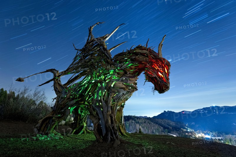 Drago Vaia (Vaia Dragon) in the dead of night. The sculpture is the work of the artist Marco Martalar. Lavarone, Alpe cimbra, Trentino, Italy.