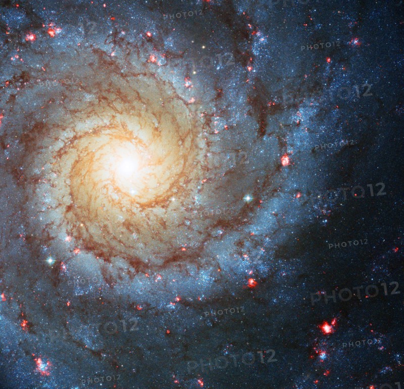 Spiral Galaxy M74 i