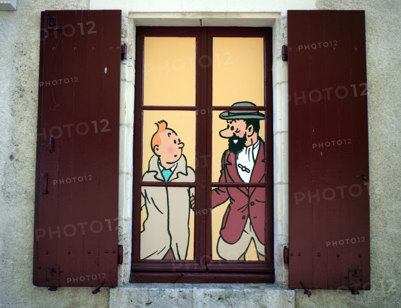 Tintin window display at the Chateau Cheverny Loire Valley France