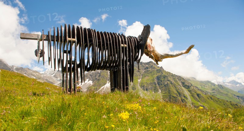 Elephant at the art trail installed by the  3-D Foundation in 2011 at 2,300 metres height  between Ruinettes and La Chaux