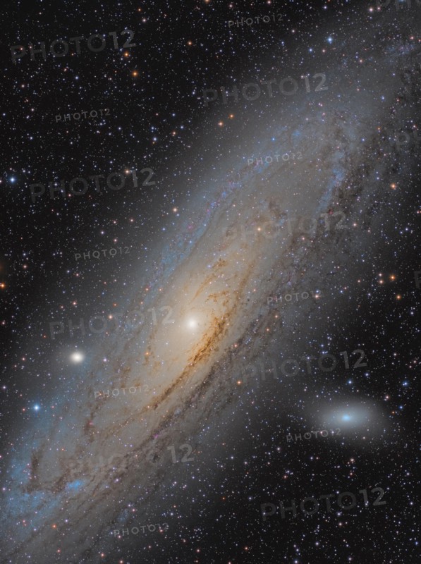 The Great Galaxy in Andromeda, Messier 31 (M31, NGC 224) - a spiral galaxy in the constallation of Andromeda - M32 and M110 are also visible.
