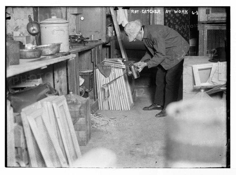 Rat catcher at work LCCN2014680032