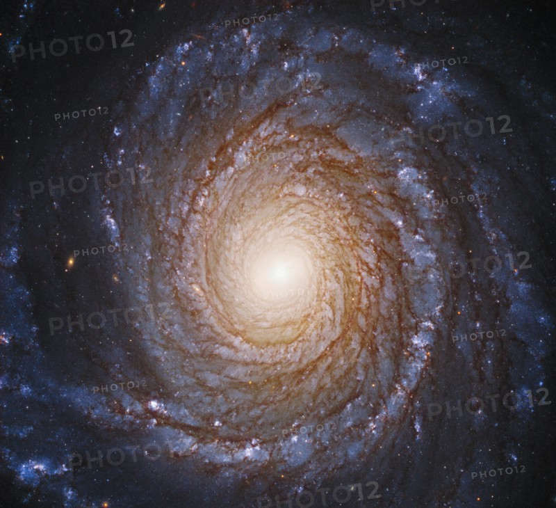 The graceful, winding arms of the majestic spiral galaxy NGC 3147 appear like a grand spiral staircase sweeping through space in this Hubble Space Tel