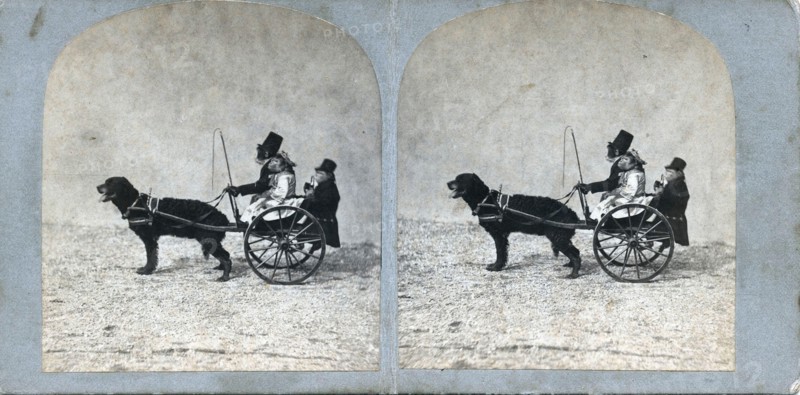 Monkey Cart, by Adrien Tournachon, 1856