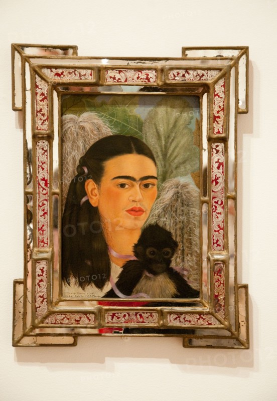 Fulang-Chang and I by Frida Kahlo at the MOMA in New York City, USA