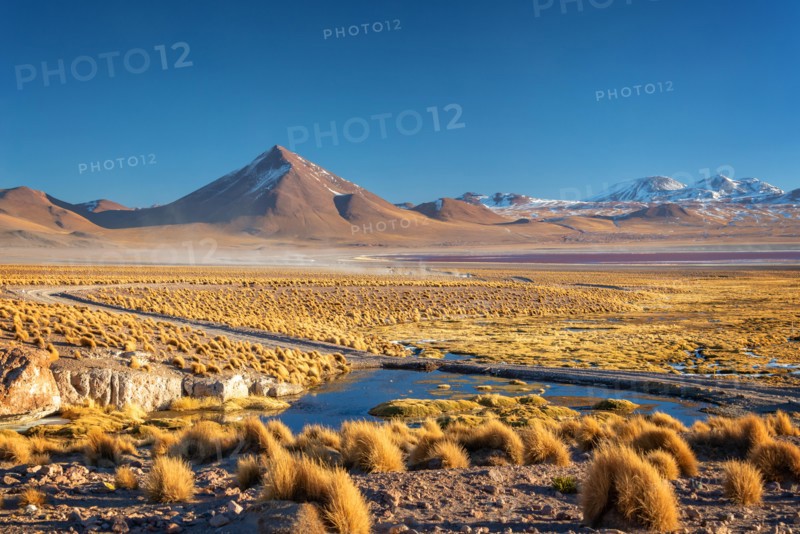 Landscape of the altiplano in Bolivia