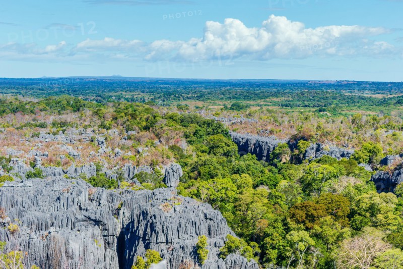 Tsingy de Bemaraha National Park, Madagascar