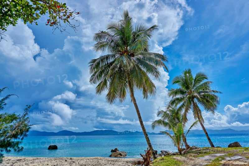 Doini Island is located in the heart of Milne Bay, on the eastern tip of Papua New Guinea. This plantation was originally surveyed by a government sur