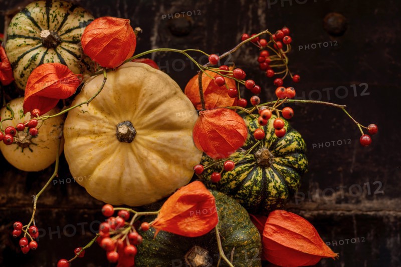 Handmade wreath of the small pumpkins and zucchinis on a vintage door Halloween pumpkins