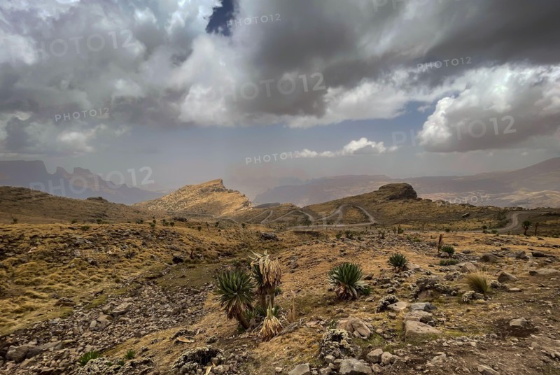 Simien Mountains - beautiful unique mountain landscape from North Ethiopian highlands, Ethiopia.
