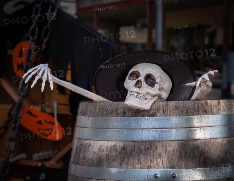 Scary scene of a skeleton looking out of a wine barrel - halloween scene