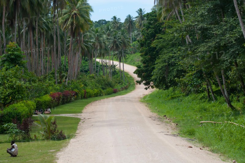 All quiet on the Boluminski Highway, built by German colonists before the First World War, on New Ireland, Papua New Guinea