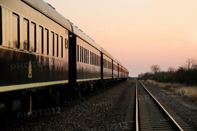 Rovos Rail, Train, from Pretoria to Victoria Falls, Gauteng, South Africa