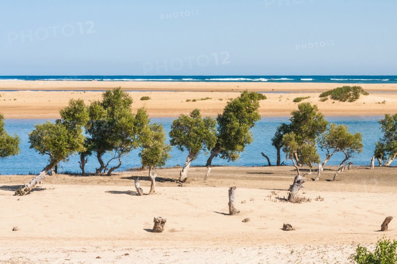 Seascape of Ifaty, southwestern Madagascar