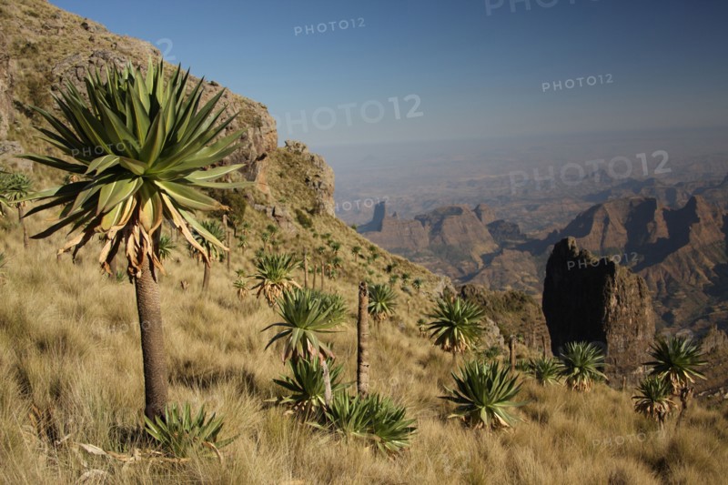 Ethiopia, Africa, Simien, Simien Mountains, National Park, landscape, mountain, mountain range, highlands, World Heritage Site,