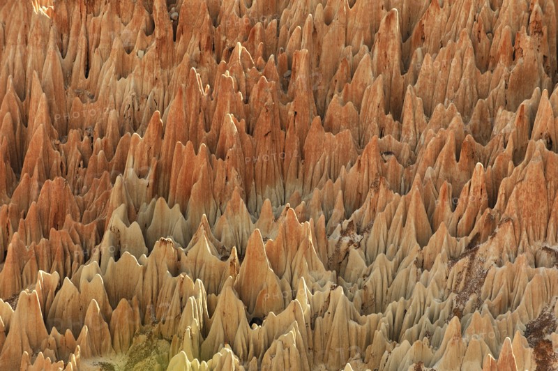 red karst limestone formation, Madagascar, Nationalpark Tsingy de Bemaraha, Tsingy