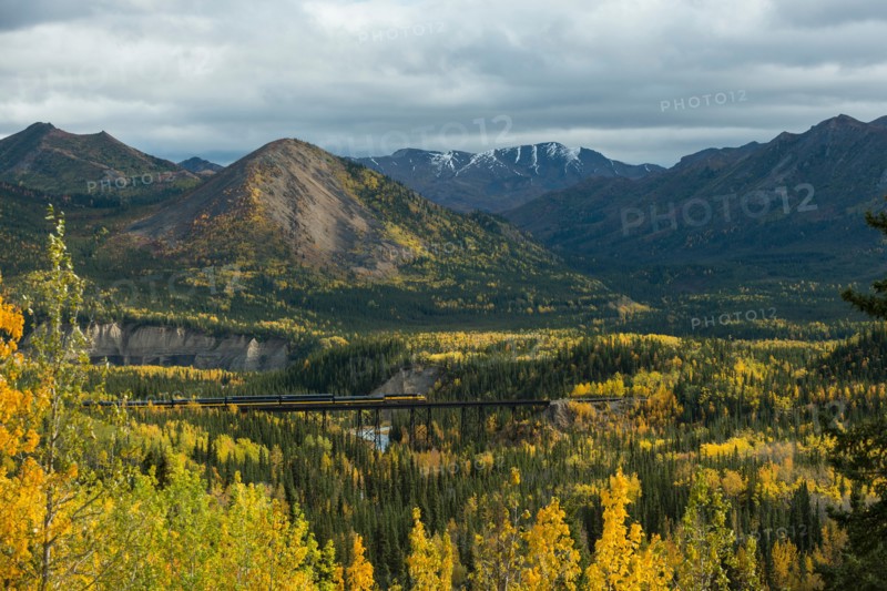 Alaska railroad driving through autumnal landscape, Denali National Park, Alaska