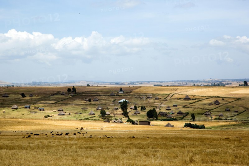 Landscape of rural Ethiopia with Straw huts in an Ethiopian village