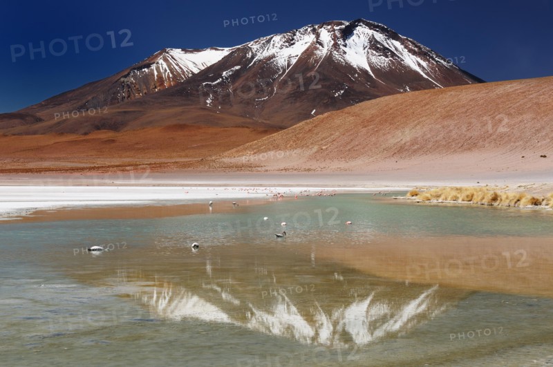 Bolivia - the most beautifull Andes in South America. The surreal landscape is nearly treeless, punctuated by gentle hills and volcanoes near Chilean