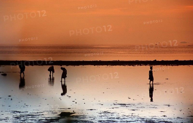 Papua Neu Guinea, New Britain, locals, beach, silhouette, evening light
