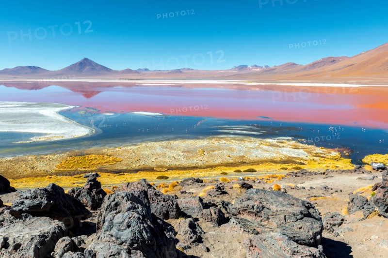 Landscape of the Laguna Colorada or Red Lagoon in the Uyuni Salt Flat region, Bolivia, South America. The red colors are due to algae and sediments.