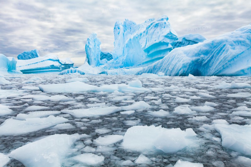 Antarctica beautiful landscape, blue icebergs, nature wilderness