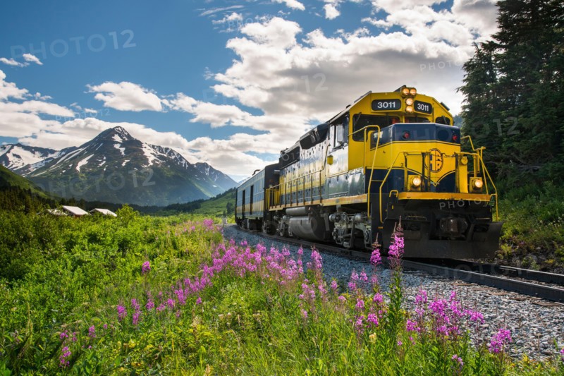 Alaska Railroad Glacier Discovery train trip,  Chugach National Forest, Alaska.