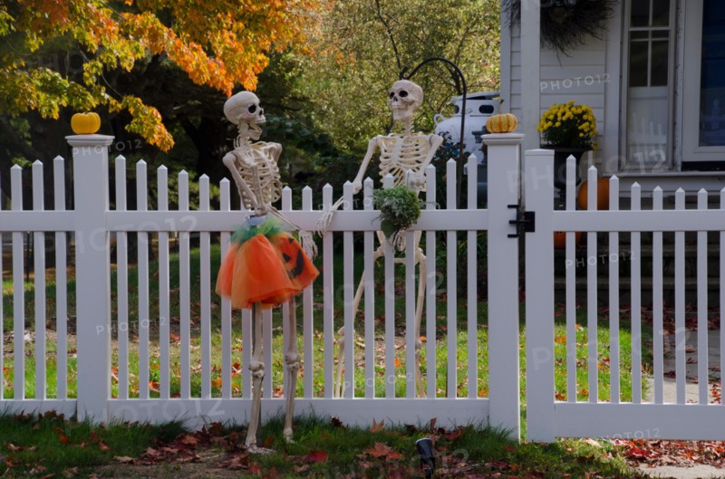 Happy skeleton neighbors talking across the fence dressed up for Halloween, Yarmouth, Maine, USA