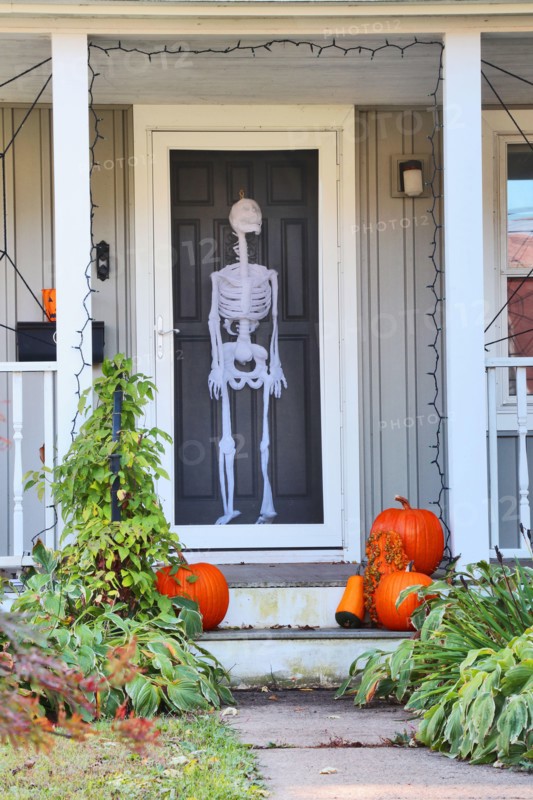 Private house front door with fake skeleton and stair with bright pumpkins decorated for an old american trick-or-treat Halloween tradition. Vertical
