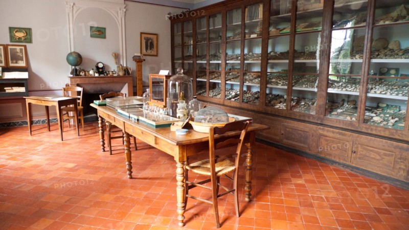 The study of Jean-Henri Fabre. Jean-Henri Fabre Harmas Museum, Serignan du Comtat, Vaucluse, France. June.