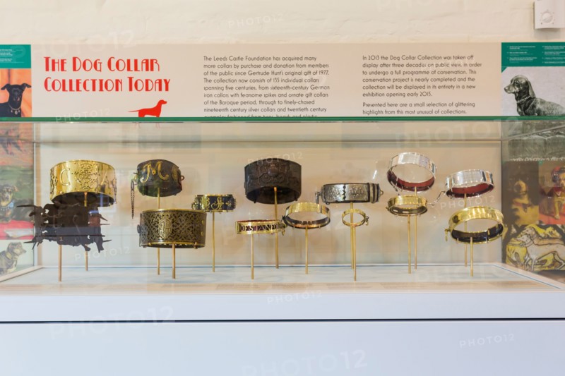 Dog Collar Museum Leeds Castle