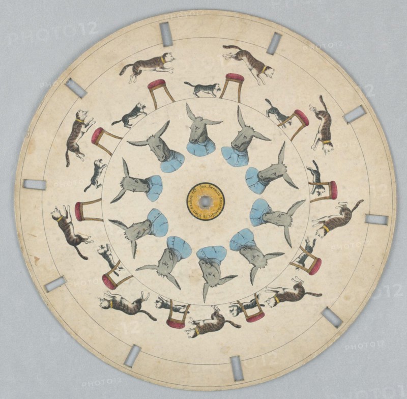 Phenakistiscope Disc with Cats and Donkey. Paper disc with a hole in the center, 10 rectangular perforations evenly spaced along perimeter for viewing.