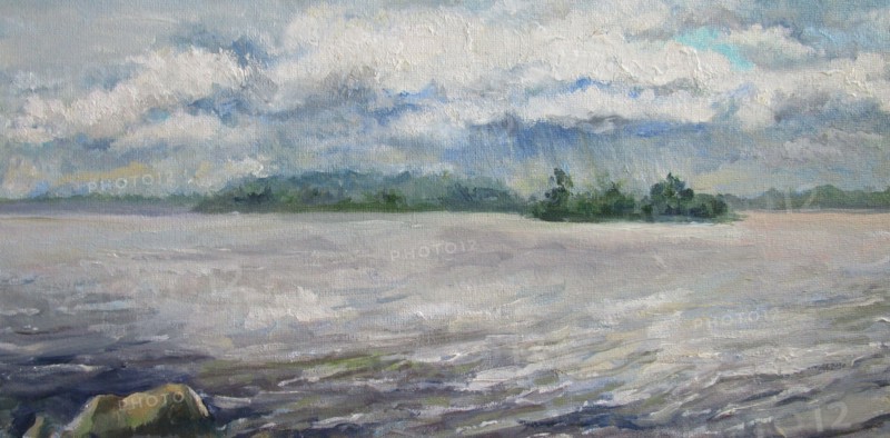 Volga river, rain in summer, oil painting