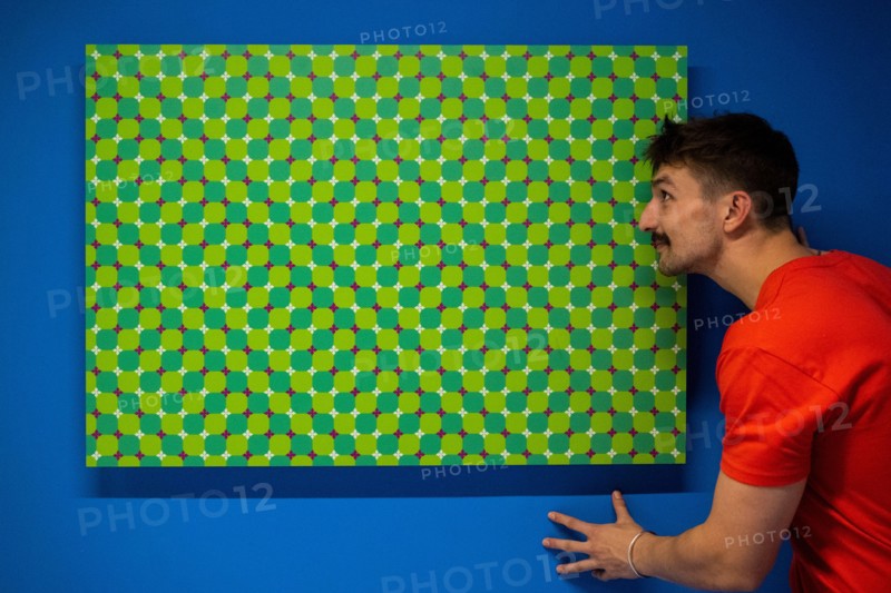 London, UK.  15 November 2022. A staff member views 'Primrose's Fields', 2022, by Akiyoshi Kitaoka, a demonstration of the Fraser-Wilcox illusion, at a preview of the new Twist (The Way I See Things) Museum.  Opening to the public on 16 November, the world of illusions is brought to life in an immersive exhibition exploring the worlds of art, psychology and neuroscience.  Housed in a former Zara store at 248 Oxford Street, the redevelopment marks a change to the traditional shopfront in an area where several large retailers have closed. Credit: Stephen Chung / Alamy Live News