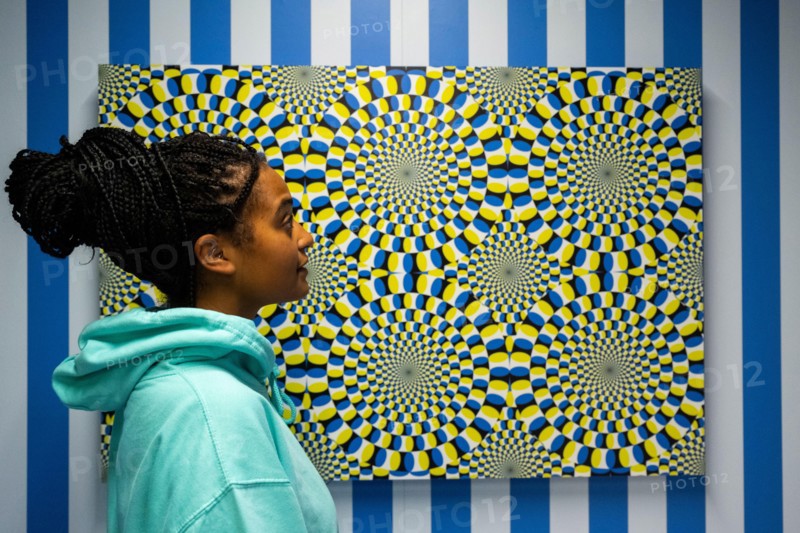 London, UK.  15 November 2022. A staff member views 'Rotating Snakes', 2022, by Akiyoshi Kitaoka, a demonstration of the Fraser-Wilcox illusion, at a preview of the new Twist (The Way I See Things) Museum.  Opening to the public on 16 November, the world of illusions is brought to life in an immersive exhibition exploring the worlds of art, psychology and neuroscience.  Housed in a former Zara store at 248 Oxford Street, the redevelopment marks a change to the traditional shopfront in an area where several large retailers have closed. Credit: Stephen Chung / Alamy Live News