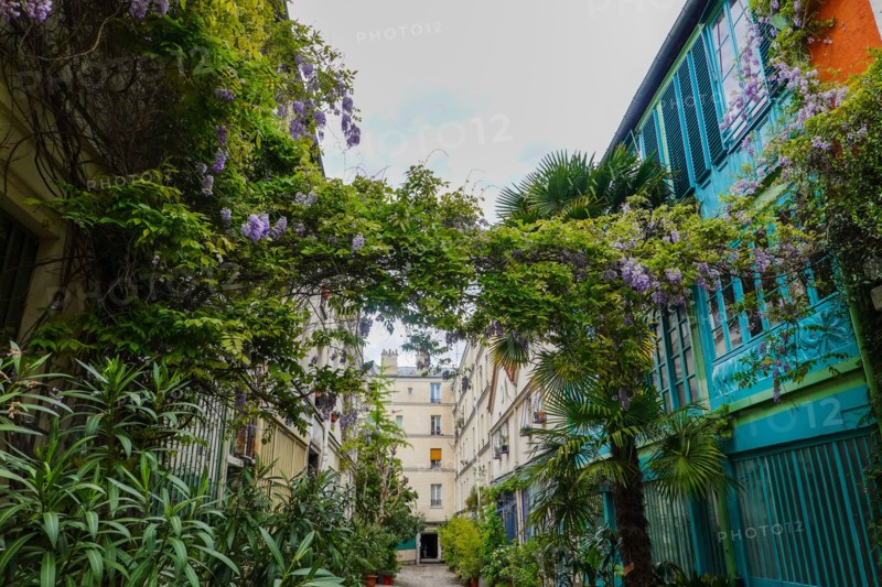 Lush plants, La Cité du Figuier, hidden street in 11th Arrondissement, known as place where metal workers had shops during the 19th century, Paris.
