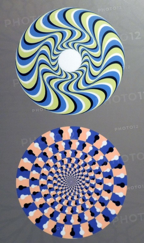 Rotating Snakes optical illusion. we perceive the brightly coloured circles of the image to be in circular motion. perhaps this is due to with microsaccades, or involuntary eye movements, that attempt to “refresh” the view of any object or image that we look at for too long.